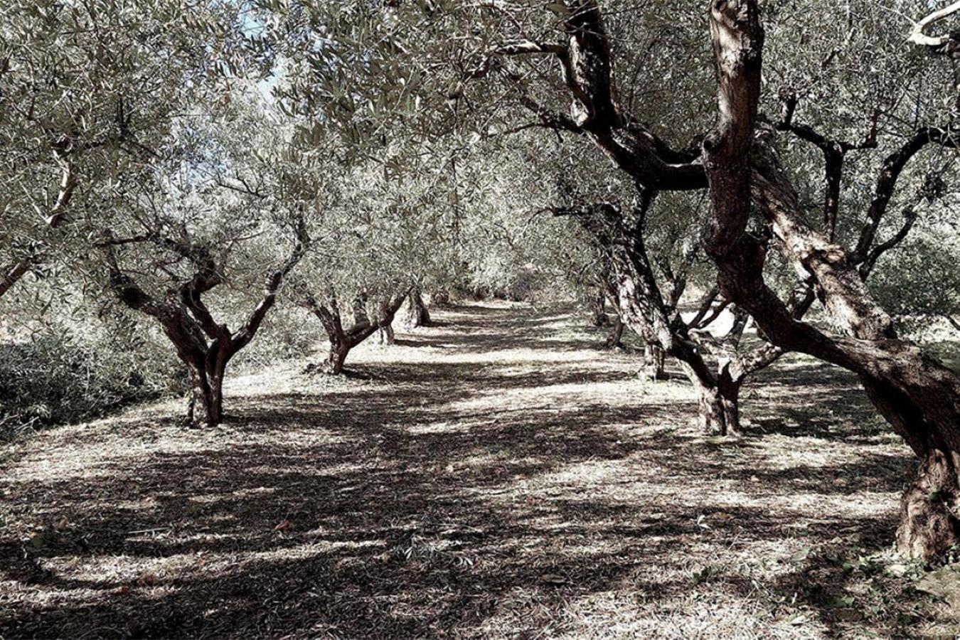 Bed And Breakfast La Vecchia Scuola Montefano Εξωτερικό φωτογραφία